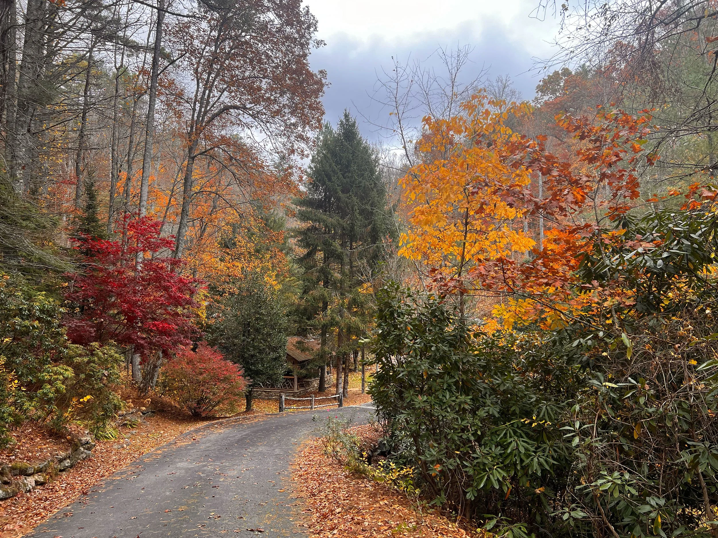 creek-side-cove-fall-color3.jpg