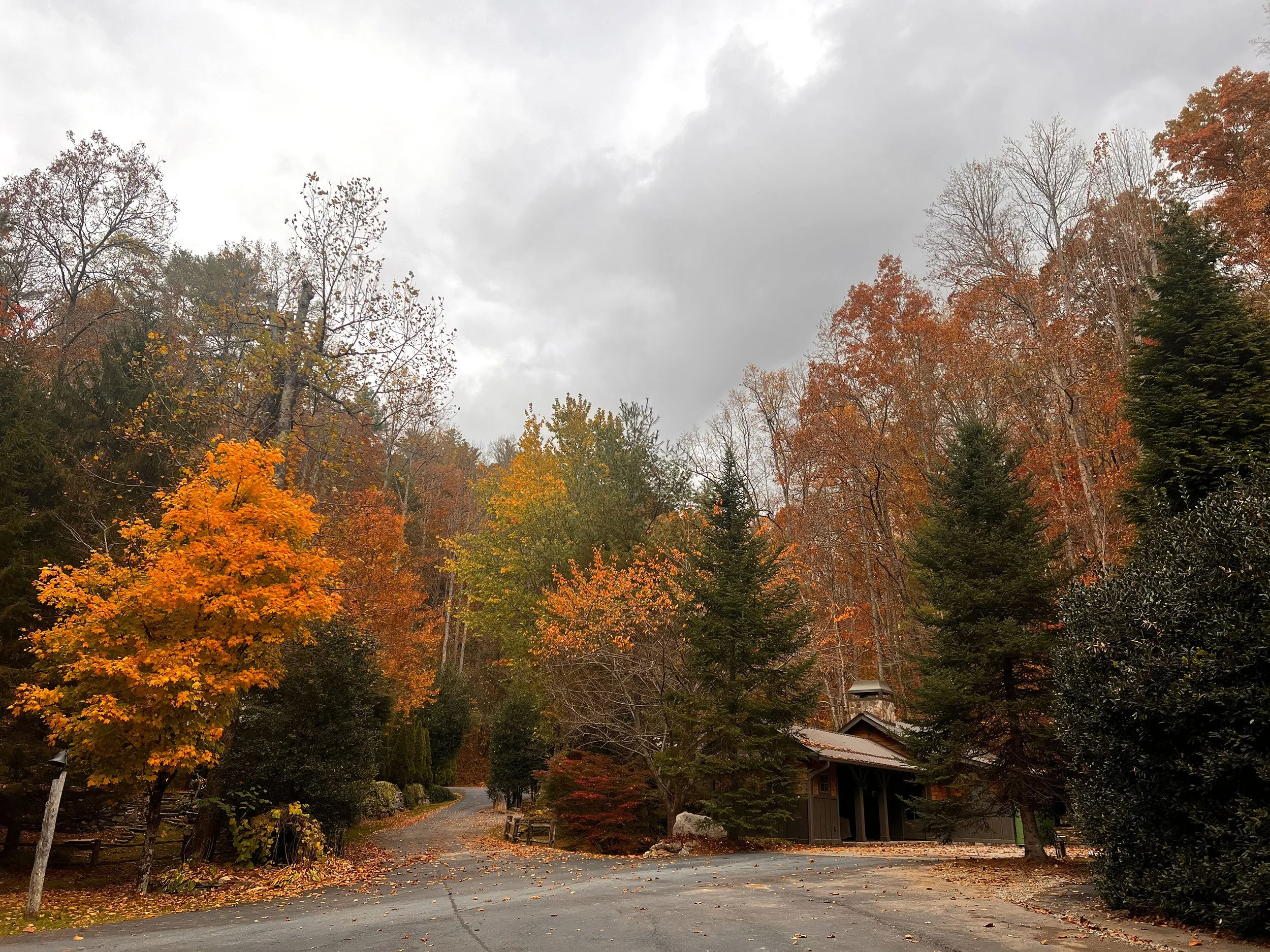 creek-side-cove=drive.jpg