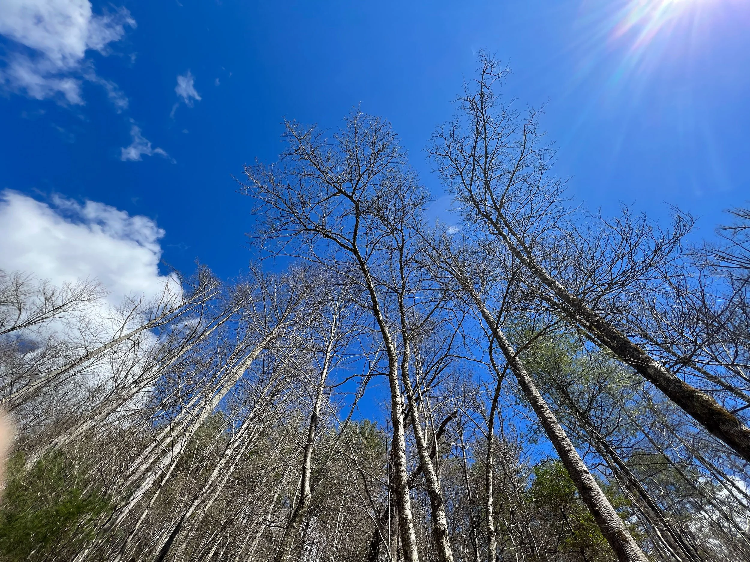 creekside-cove-sky.jpg