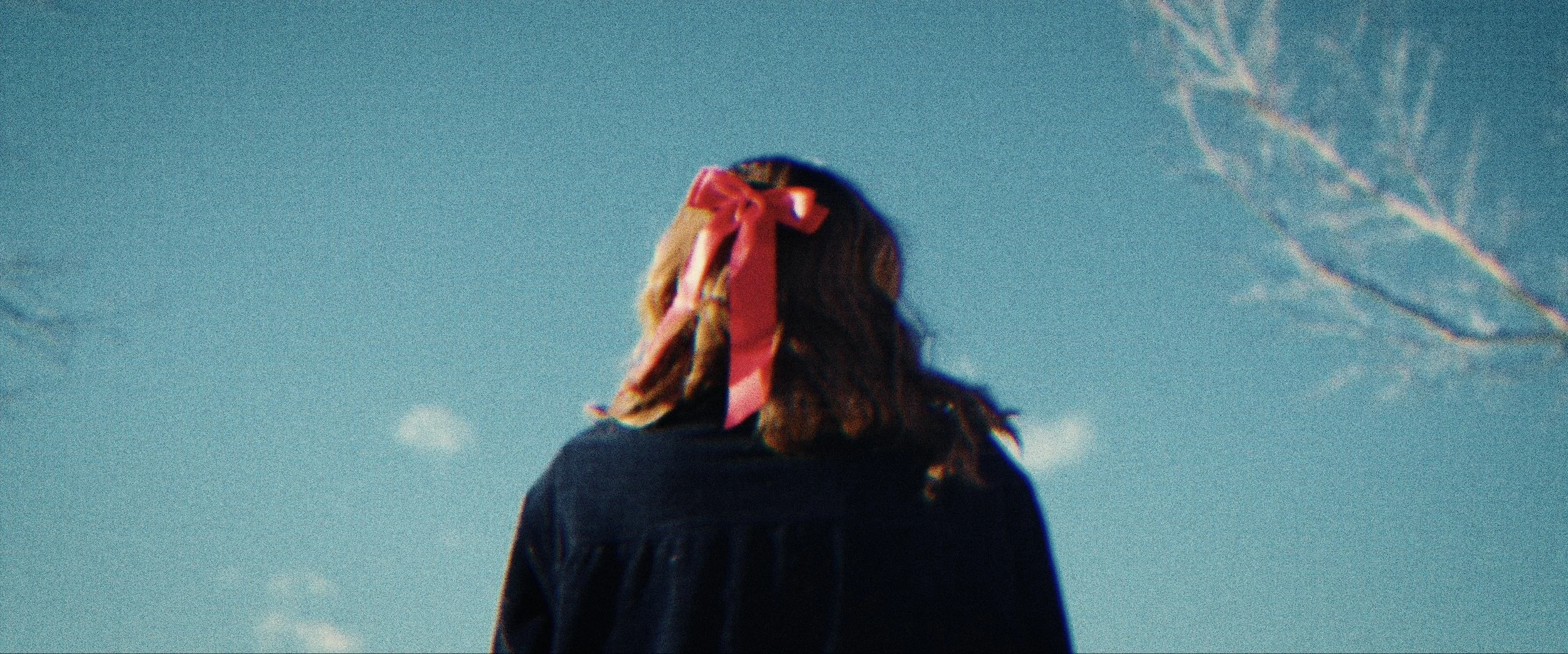 Person with long hair wearing a black jacket and a red ribbon in their hair, facing away outdoors with a blue sky and bare tree branches in the background.