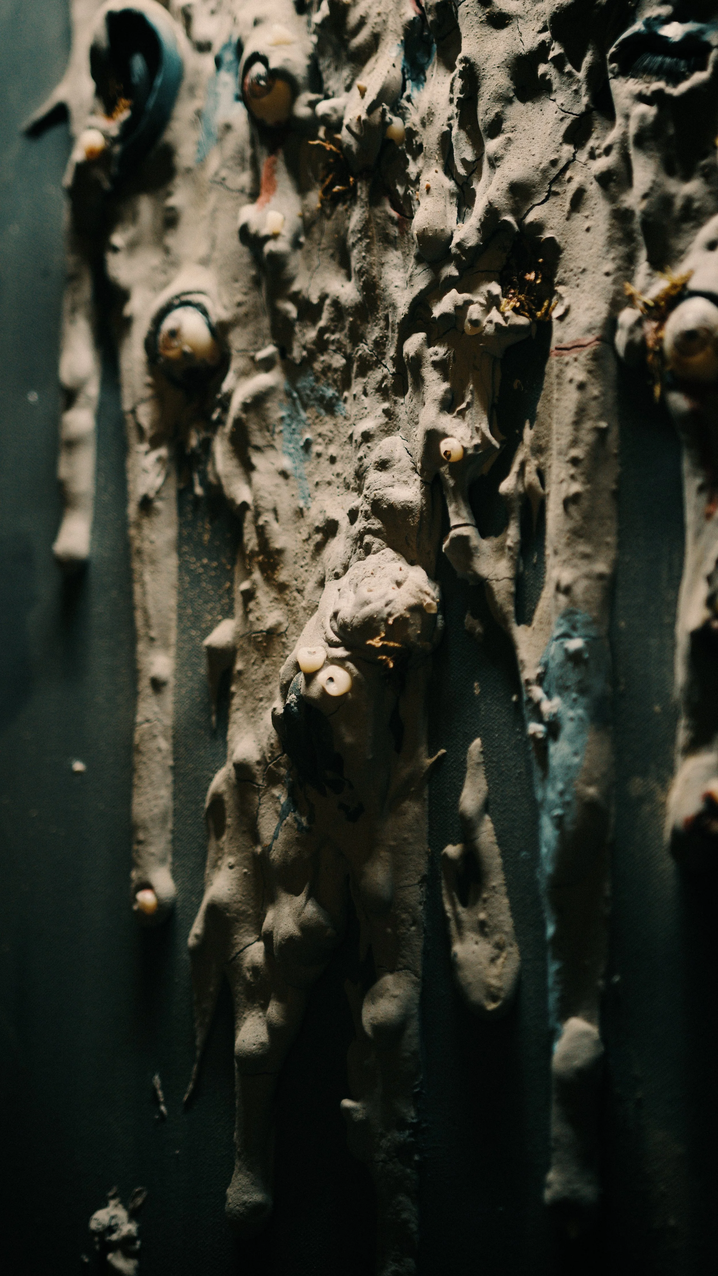Close-up of ancient bone artifacts embedded in a dark display panel.
