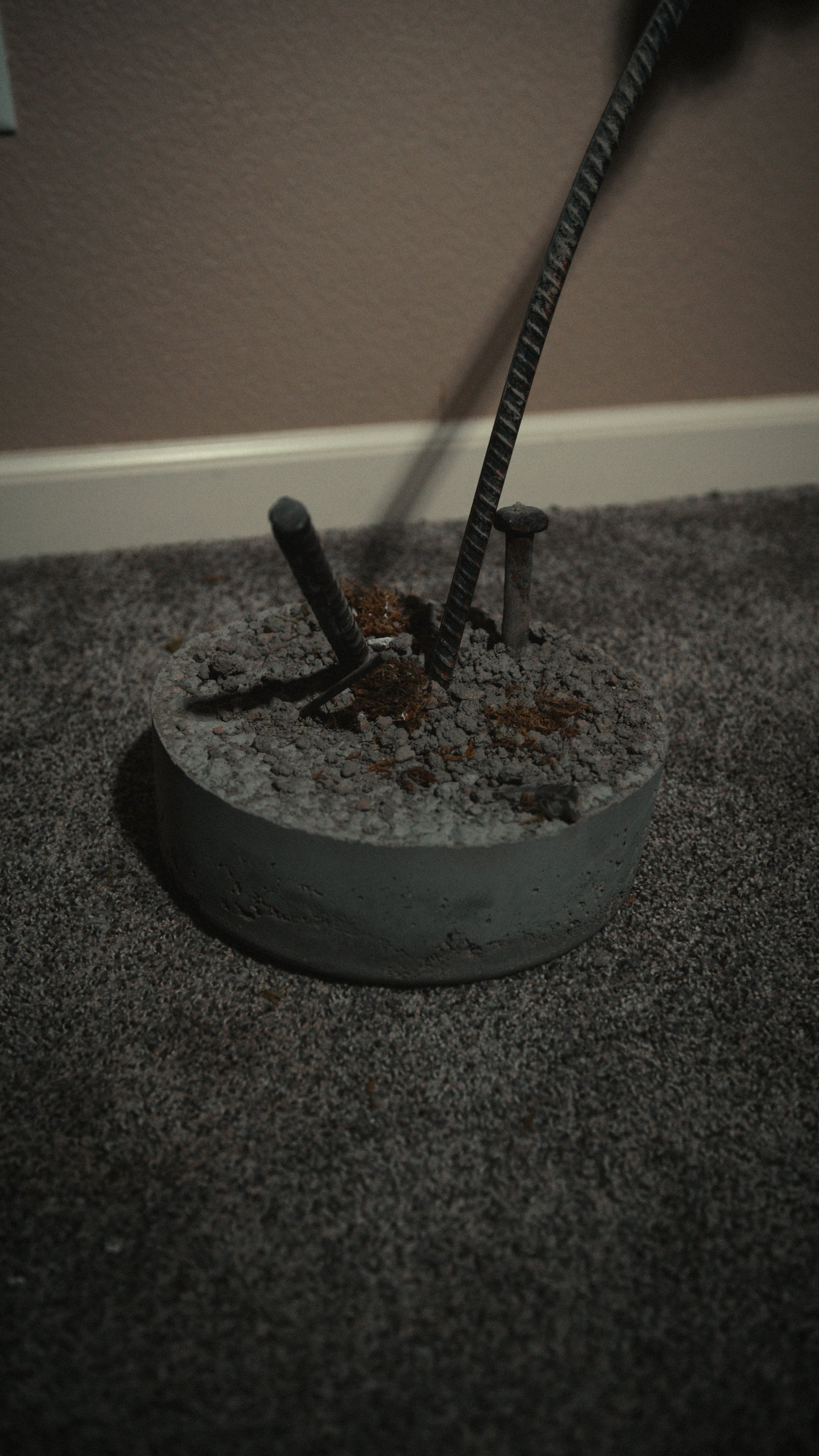 A round concrete planter with three rebars sticking out of the soil inside, situated on a carpeted floor against a wall.