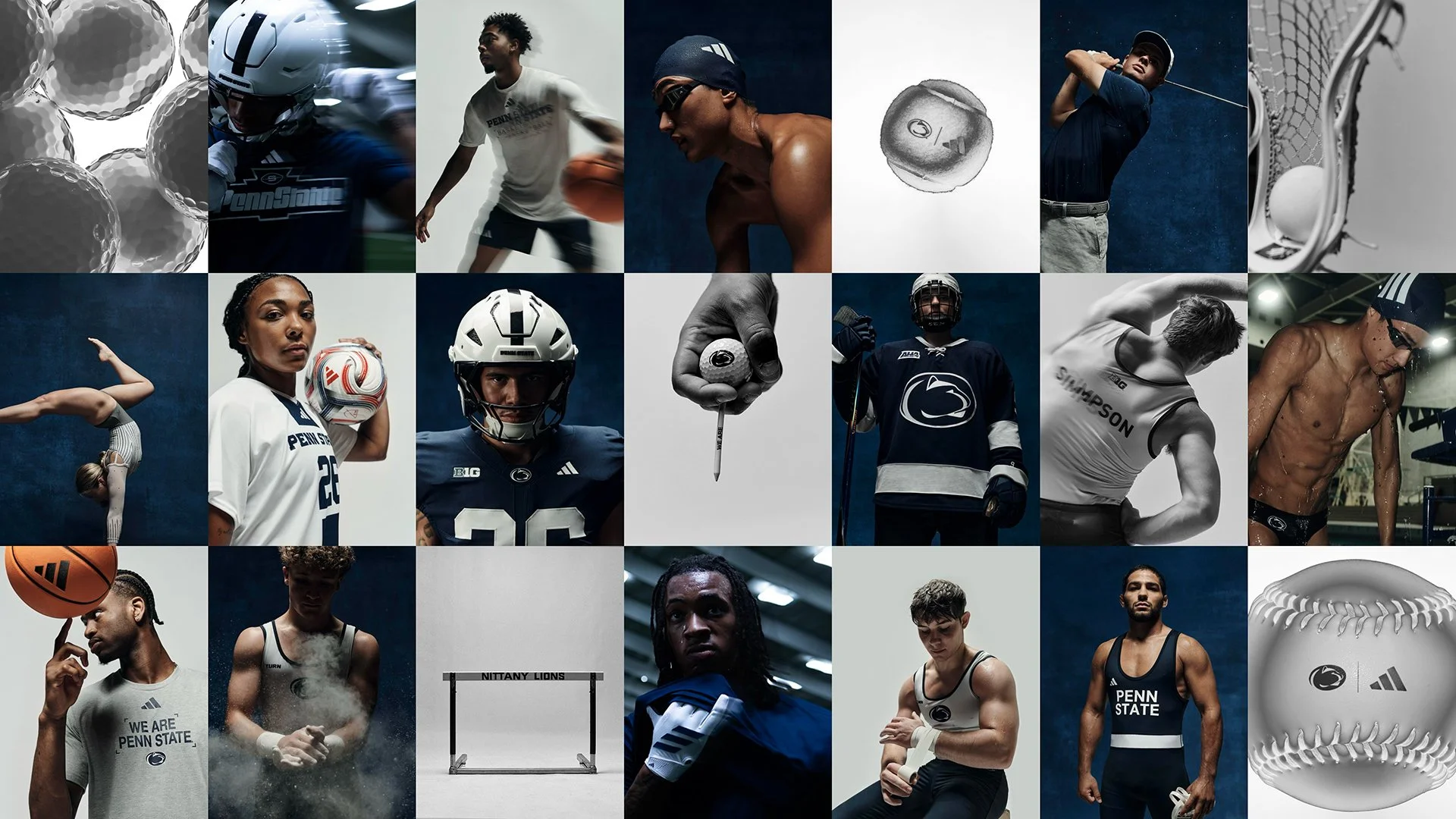 penn_state_moodboard.jpg