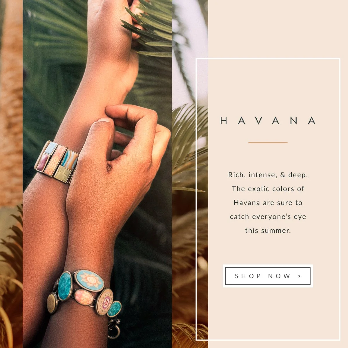 HAVANA-Social-Media-2.jpg