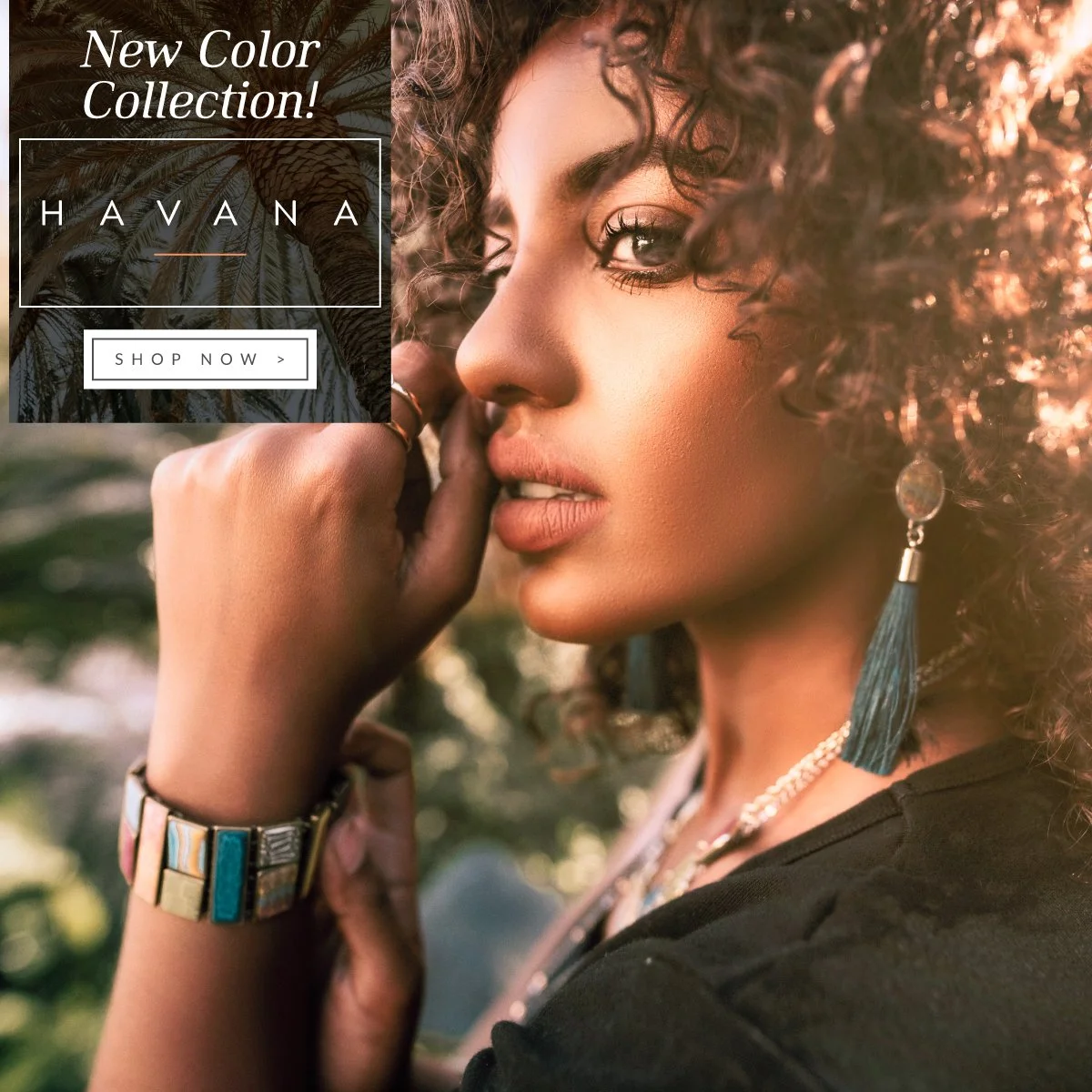 HAVANA-Social-Media 1.jpg