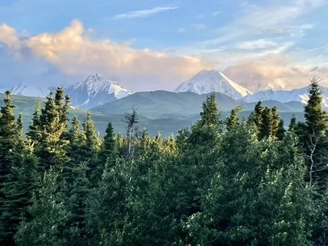 Mountains and forest with green trees under a blue sky with clouds.