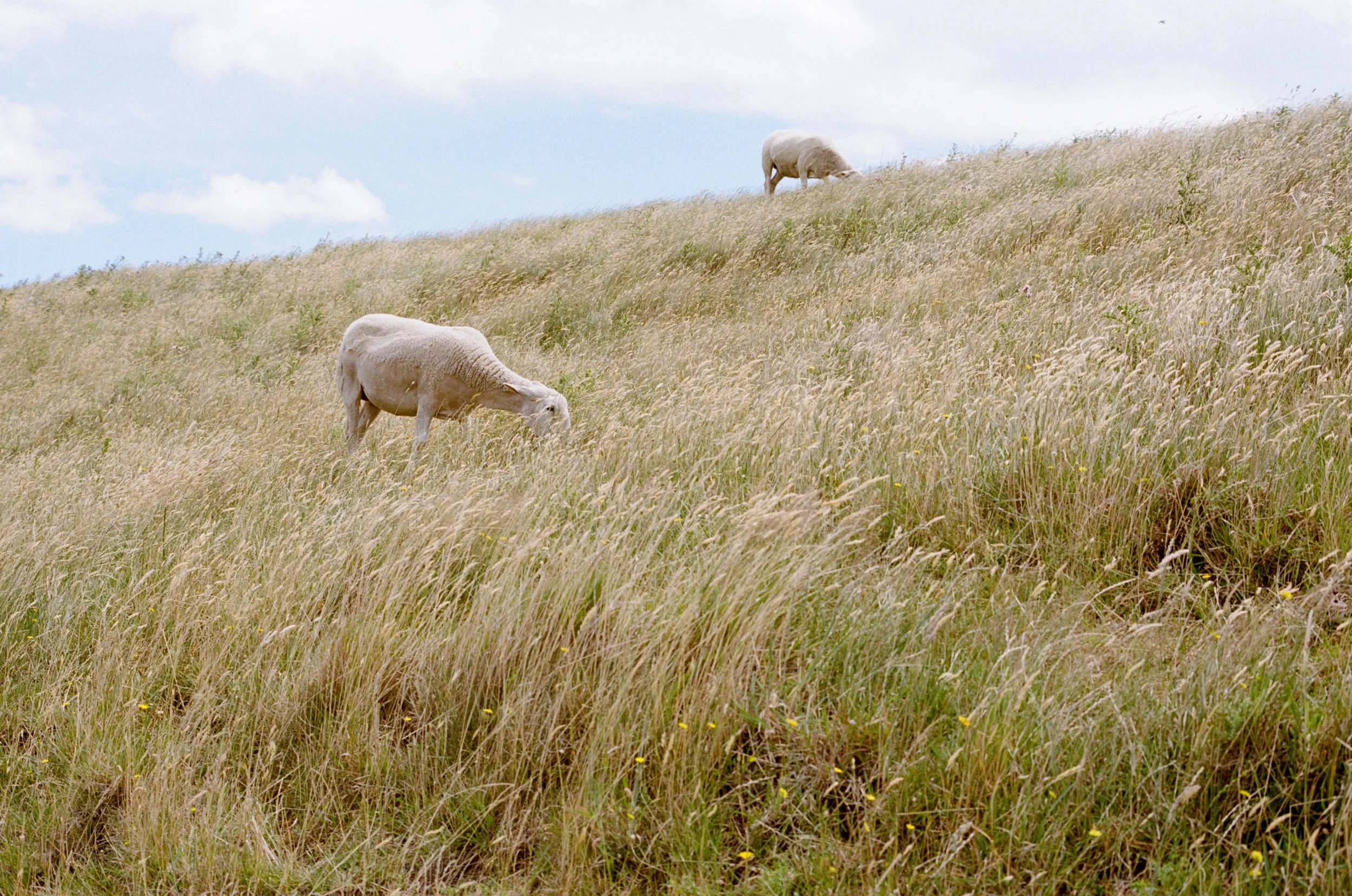Papamoa, New Zealand