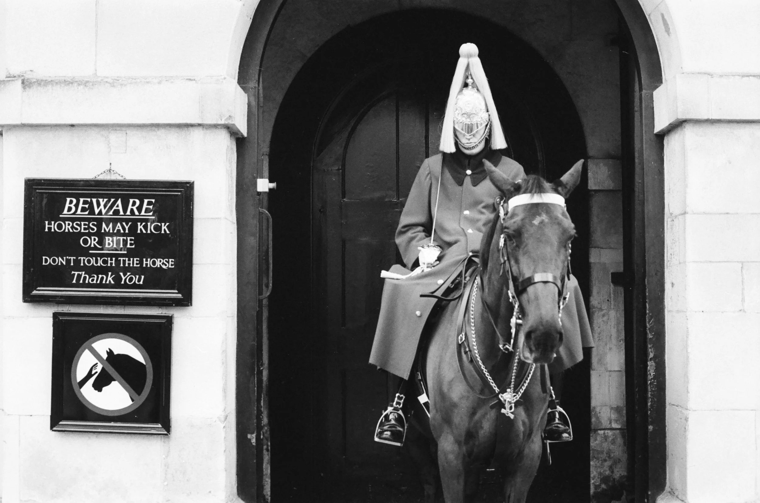 guard-horse-london.jpg