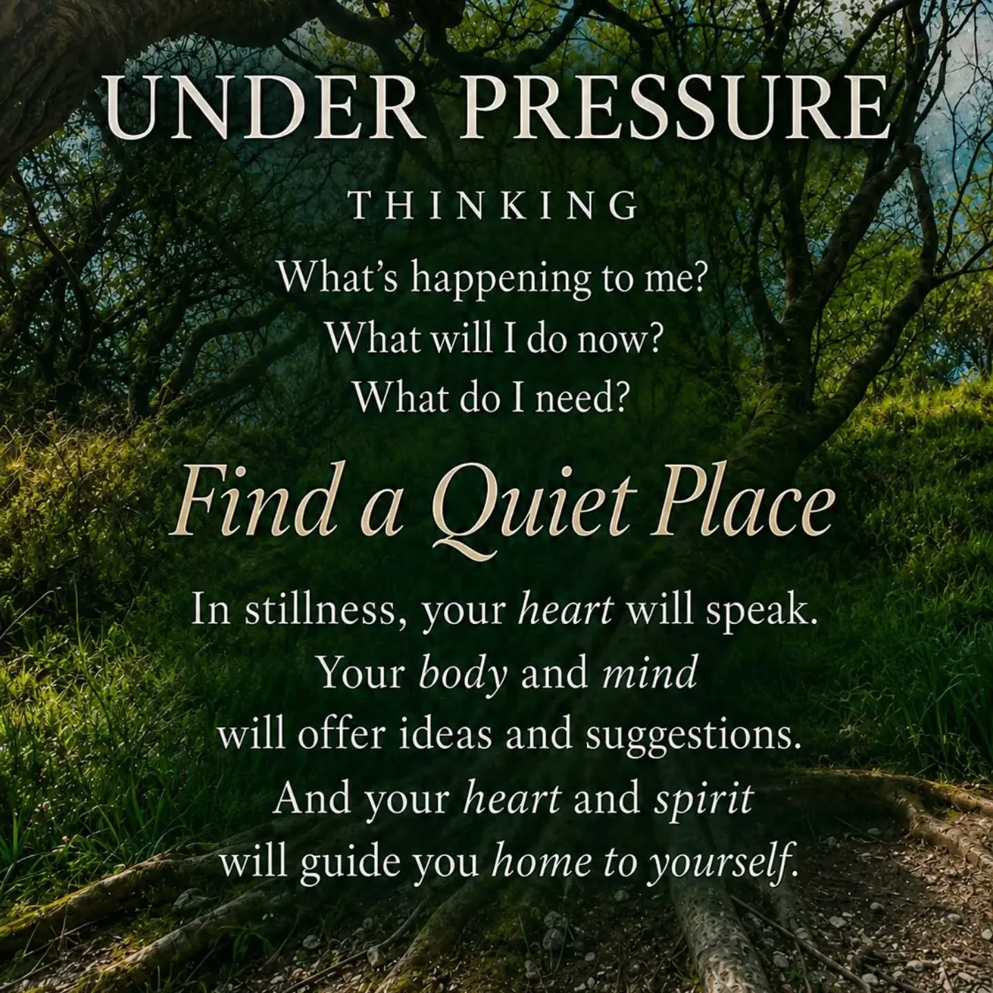 Making time for You 
Grounding in a MindHeartBodySpirit Place
#grounding #stillness #mindbodyspirithealth
#craniosacraltherapy #holistictherapy