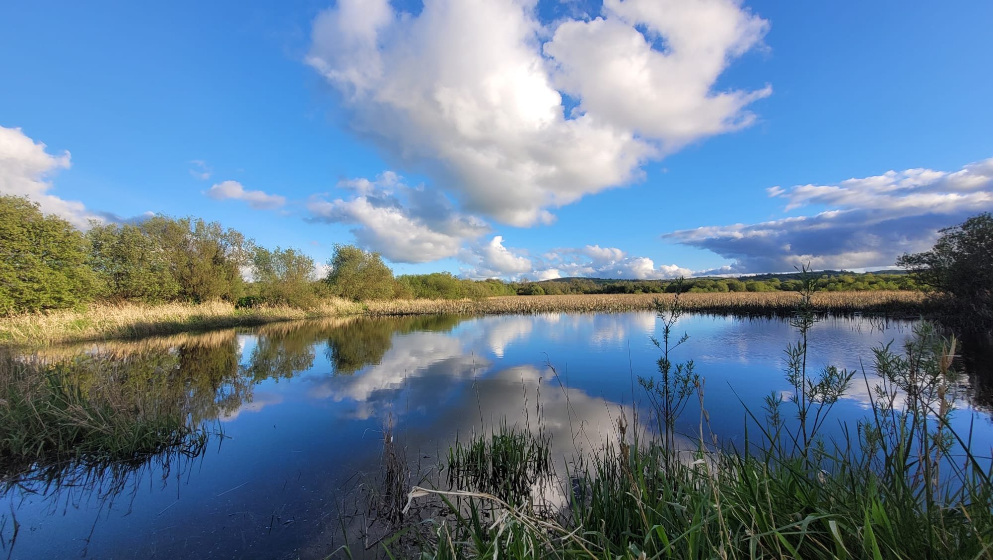 A peaceful river scene with calm water reflecting a partly cloudy blue sky and surrounding green trees and vegetation.