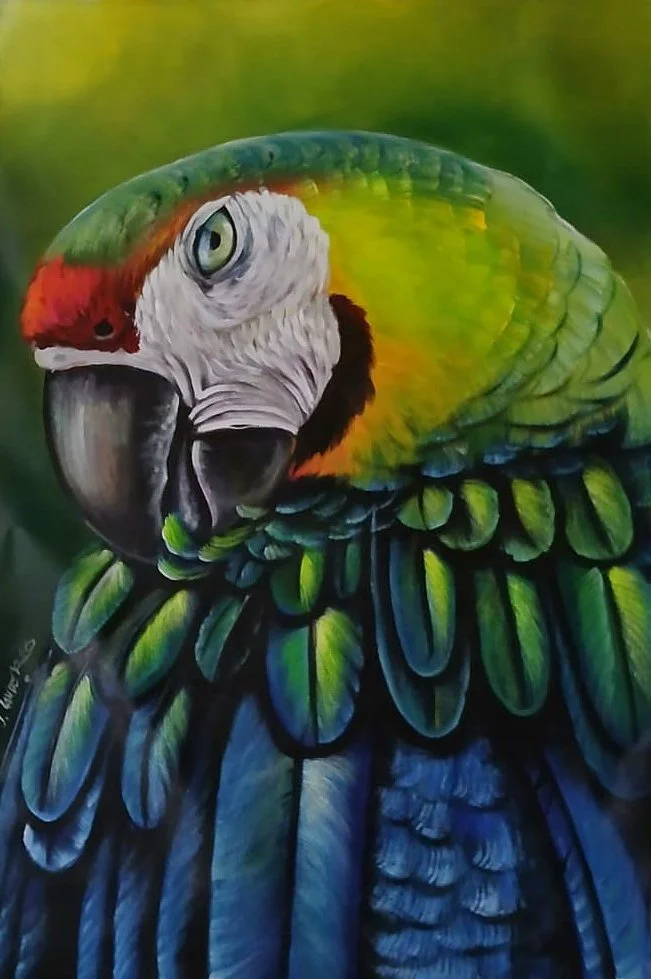 Green Macaw Portrait