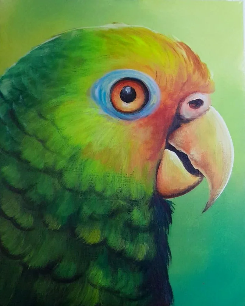 Green Parrot Closeup