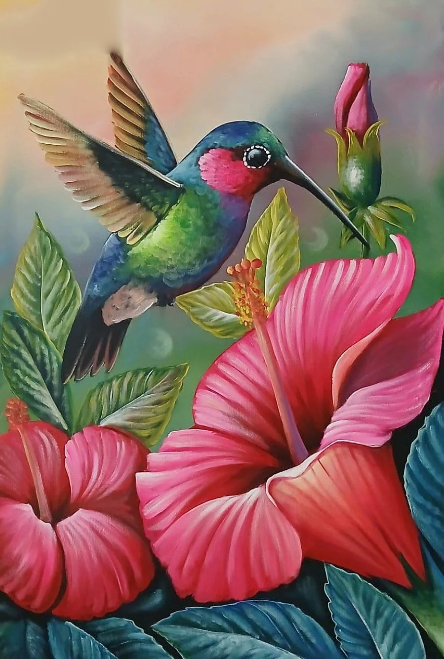 Hummingbird And Red Hibiscus