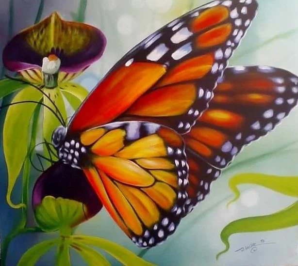 Monarch Butterfly And Lily