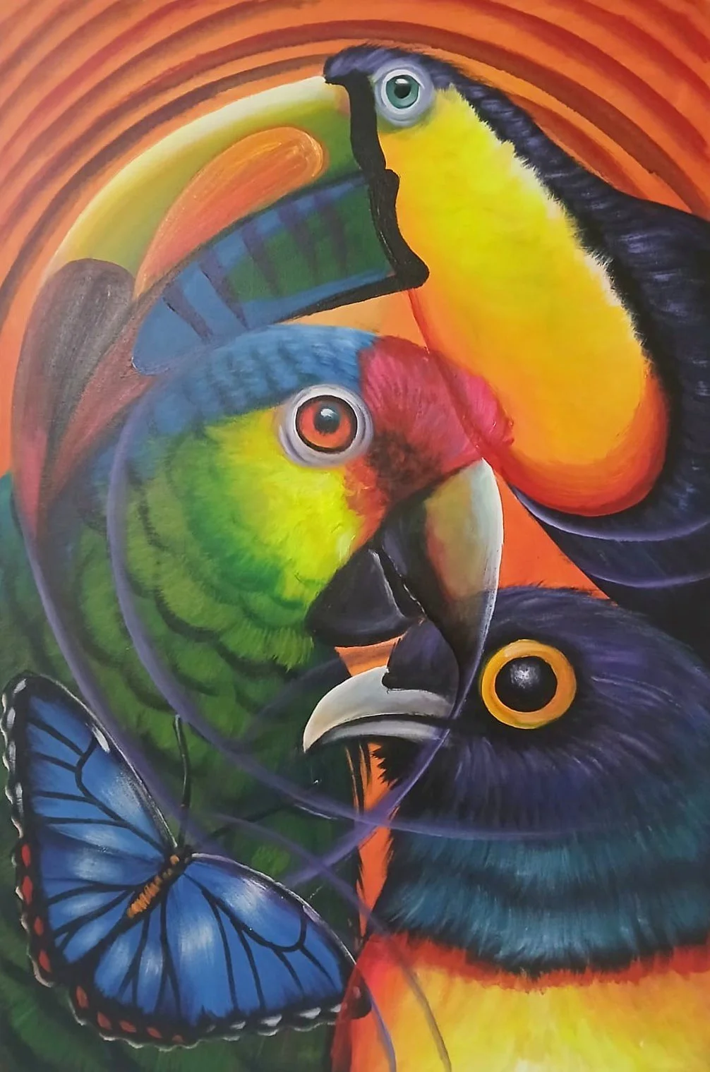 Tropical Birds And Butterfly