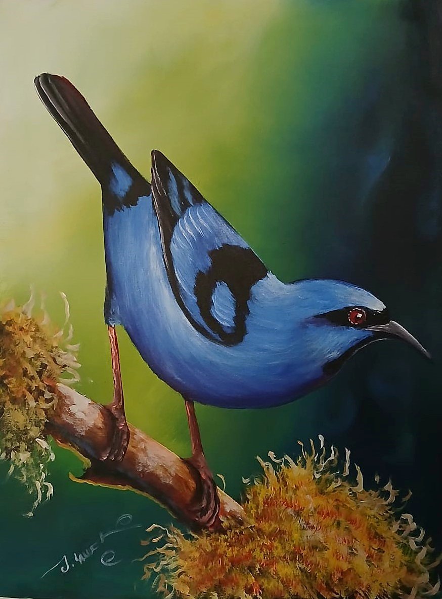 Blue Songbird On Moss