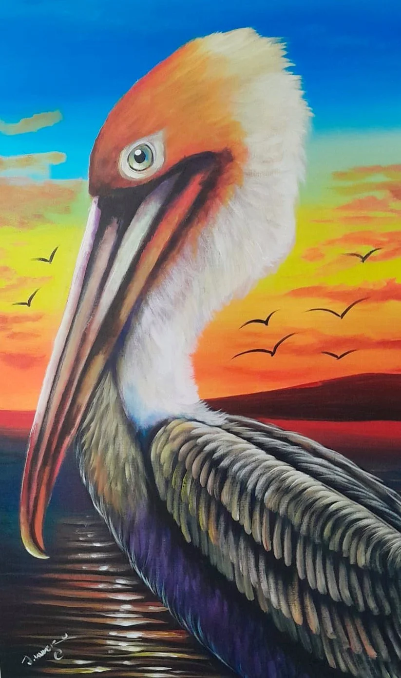 Pelican At Sunset