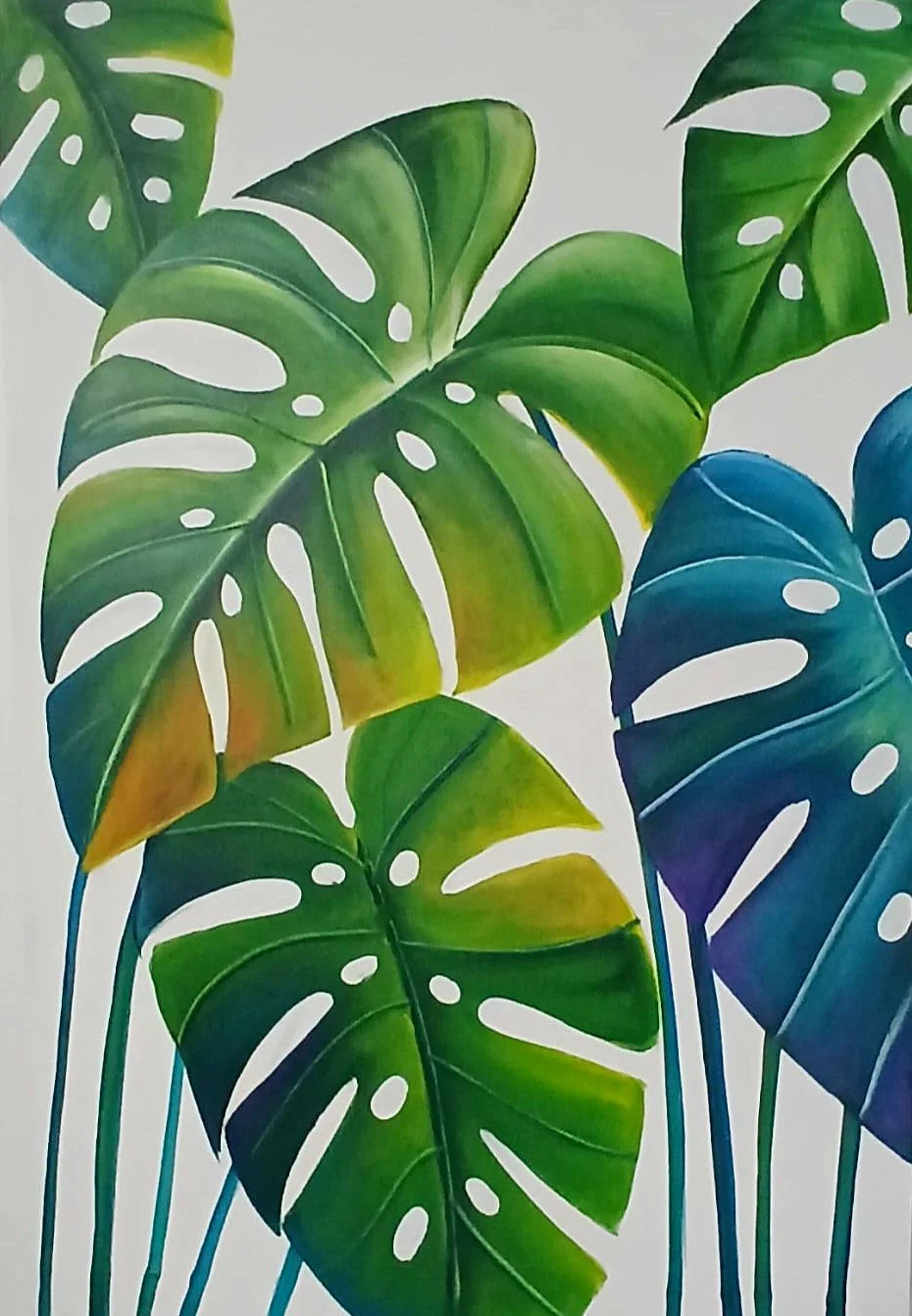Monstera Leaf Study