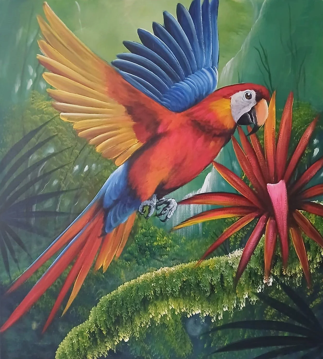 Scarlet Macaw In Flight