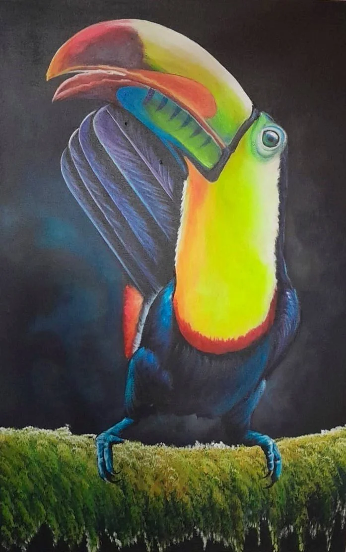 Toucan Pair On Moss