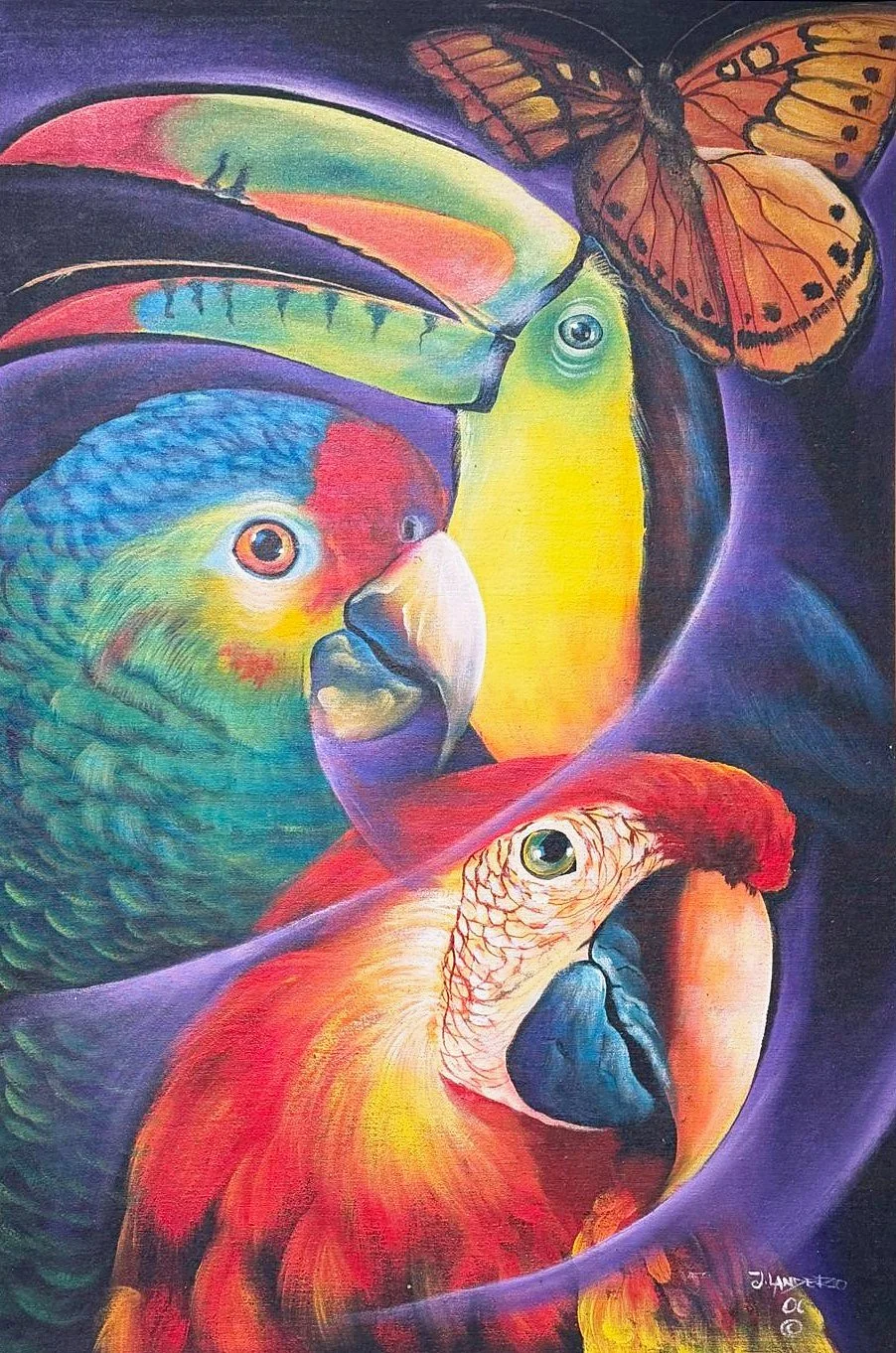 Parrots And Butterfly