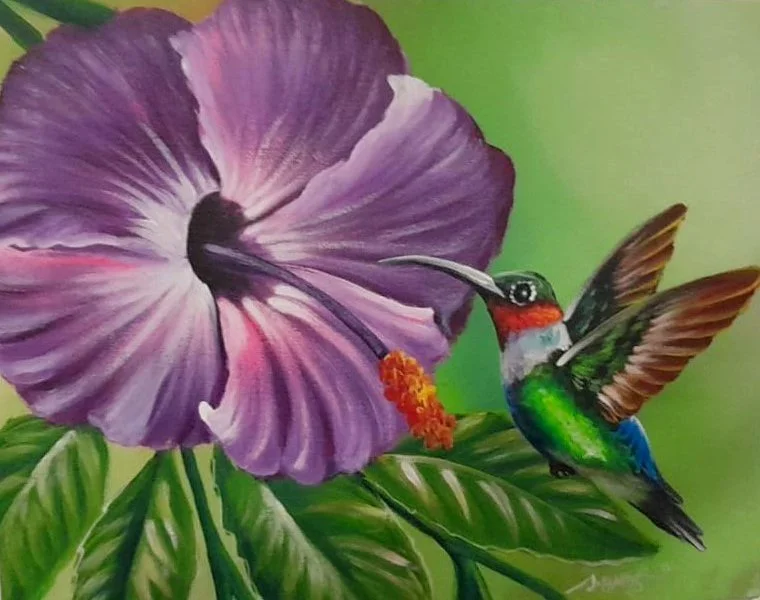 Hummingbird And Hibiscus