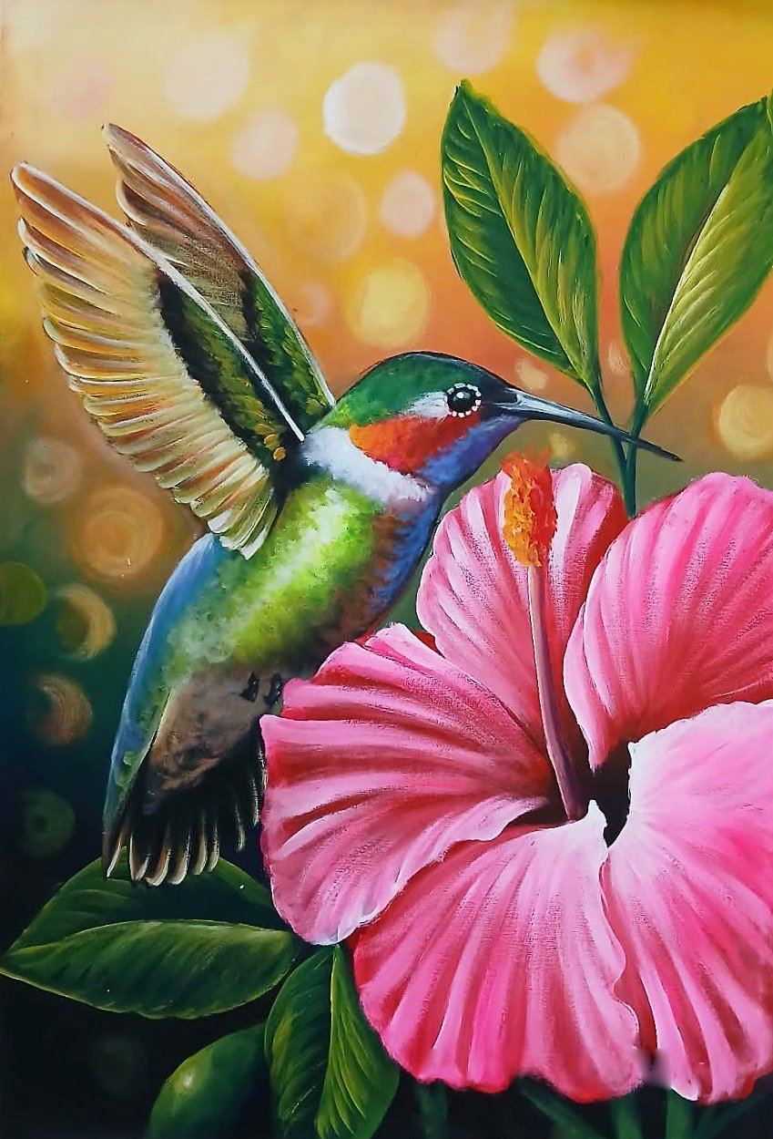 Hummingbird With Pink Hibiscus