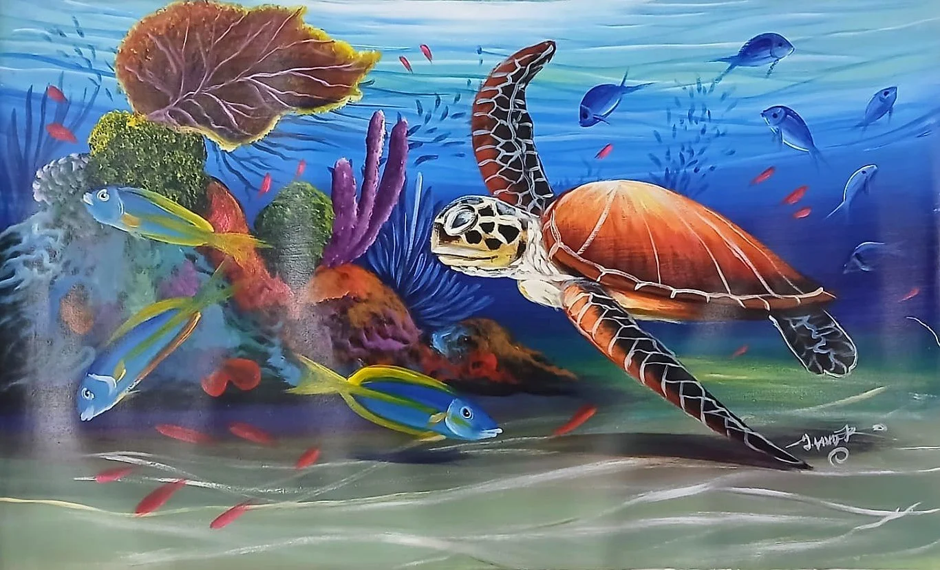 Sea Turtles