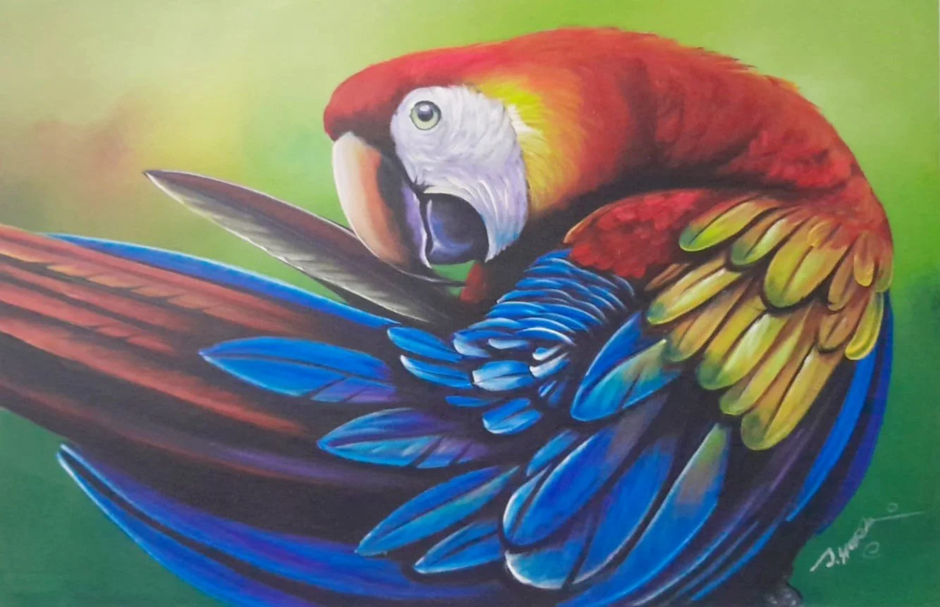 Scarlet Macaw Preening
