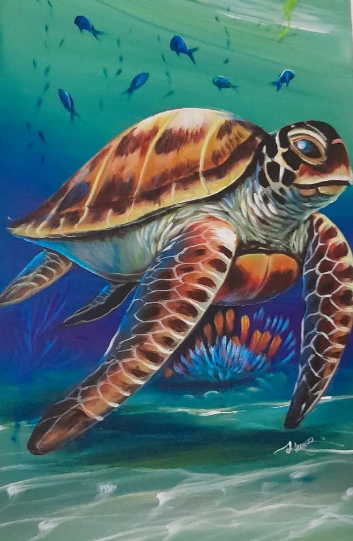 Sea Turtle Underwater