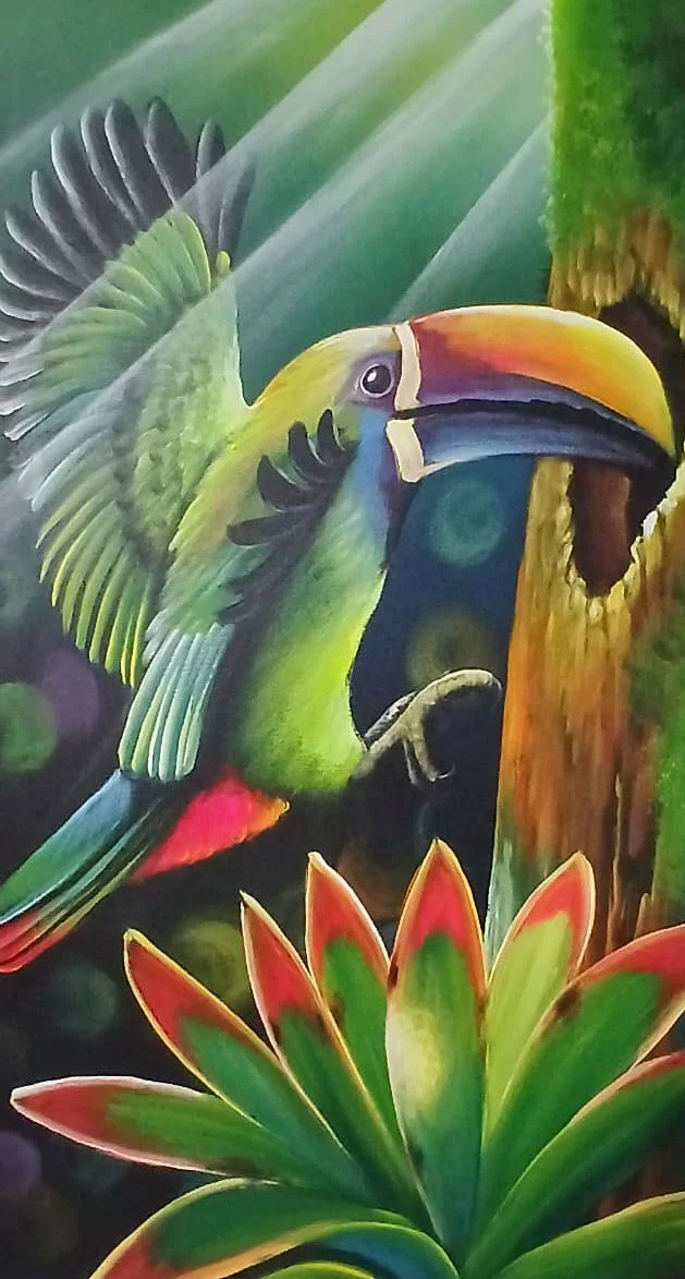 Toucan Landing On Bromeliad