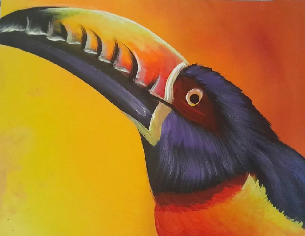 Toucan Closeup