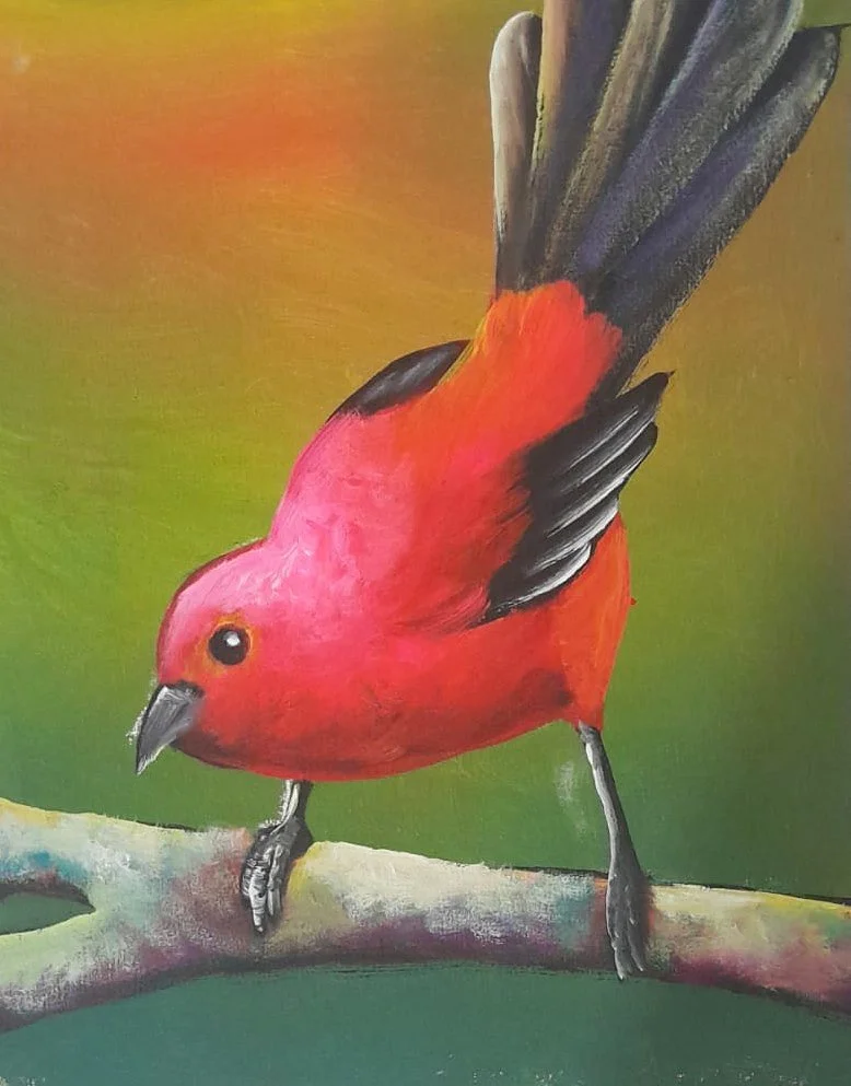 Scarlet Songbird