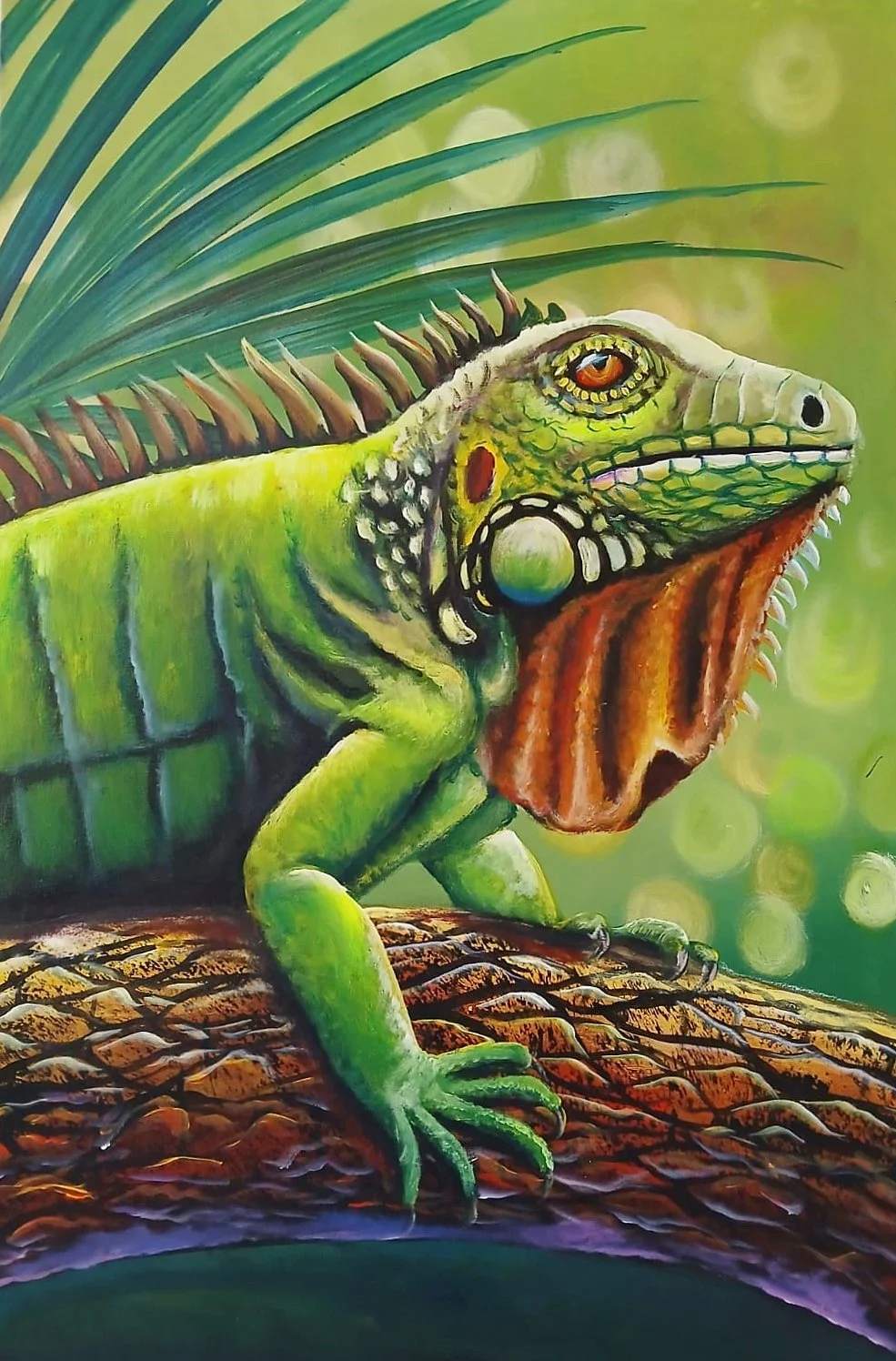 Green Iguana