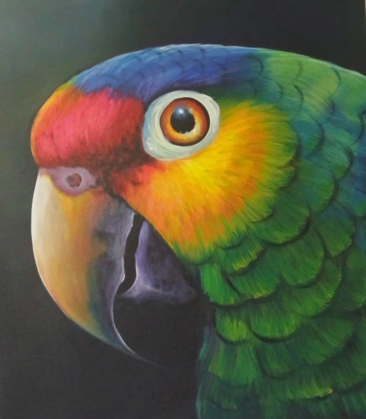 Green Parrot Portrait