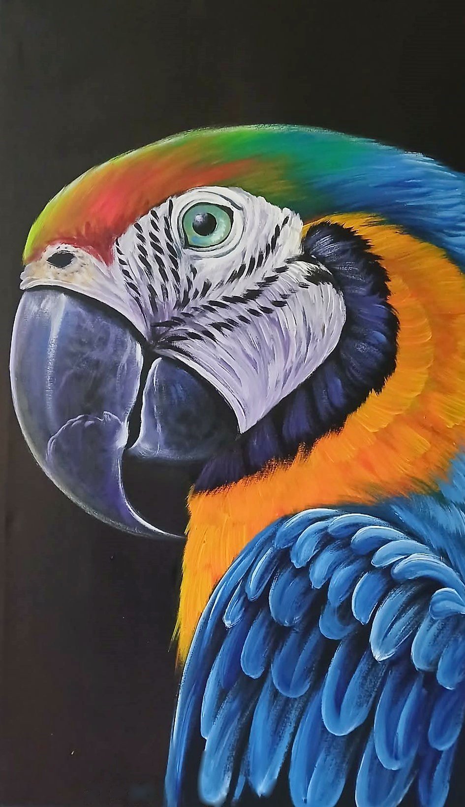 Blue And Gold Macaw