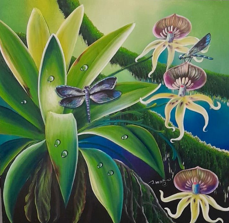 Orchids Dragonflies And Dew