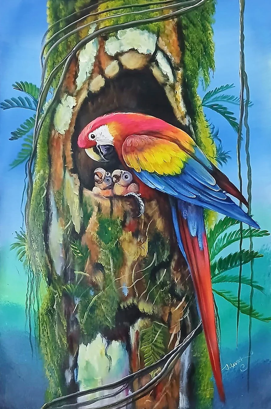 Macaw At The Nest