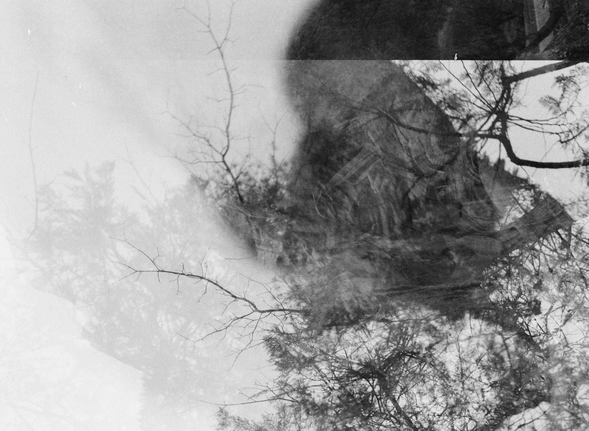 2018-01-Yosemite-Mamiya 645-ERS015.jpg