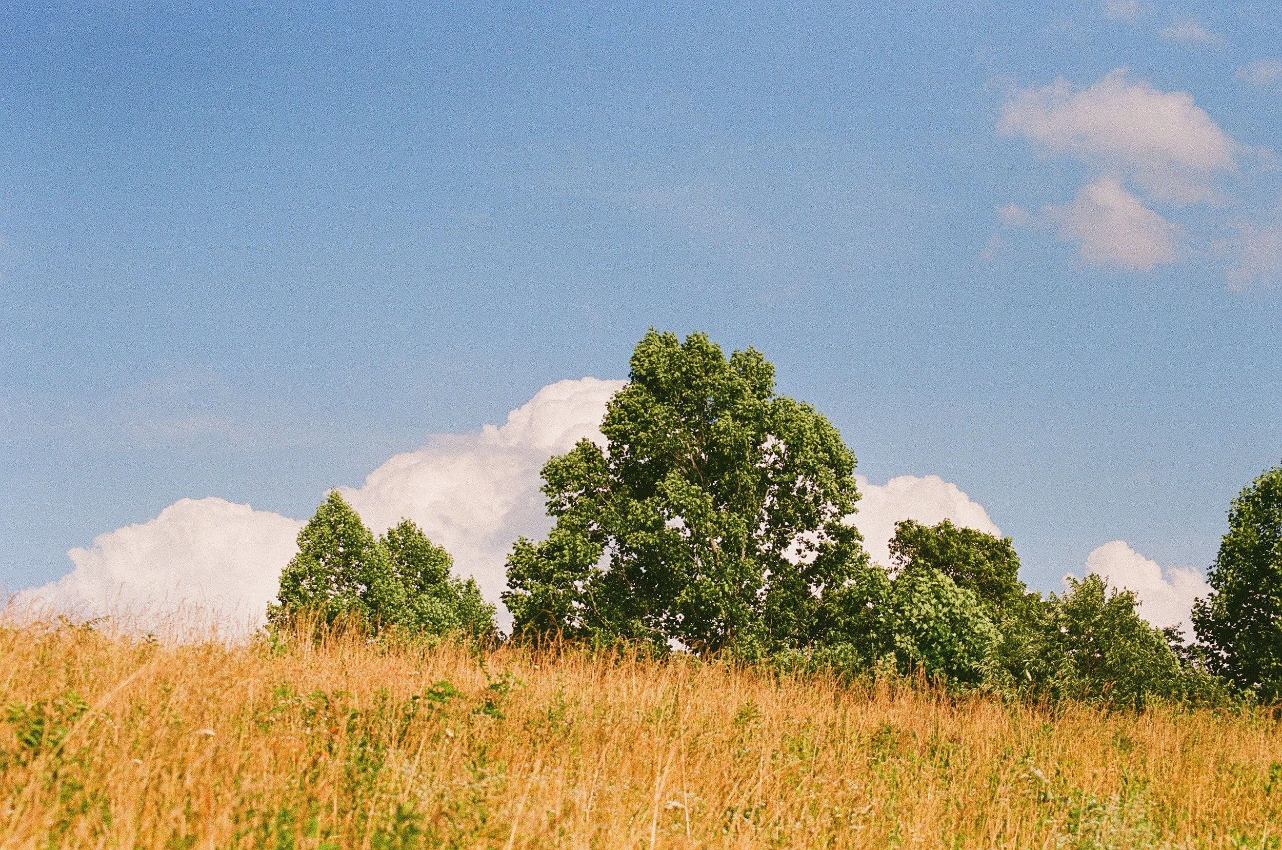 002700880029.jpg