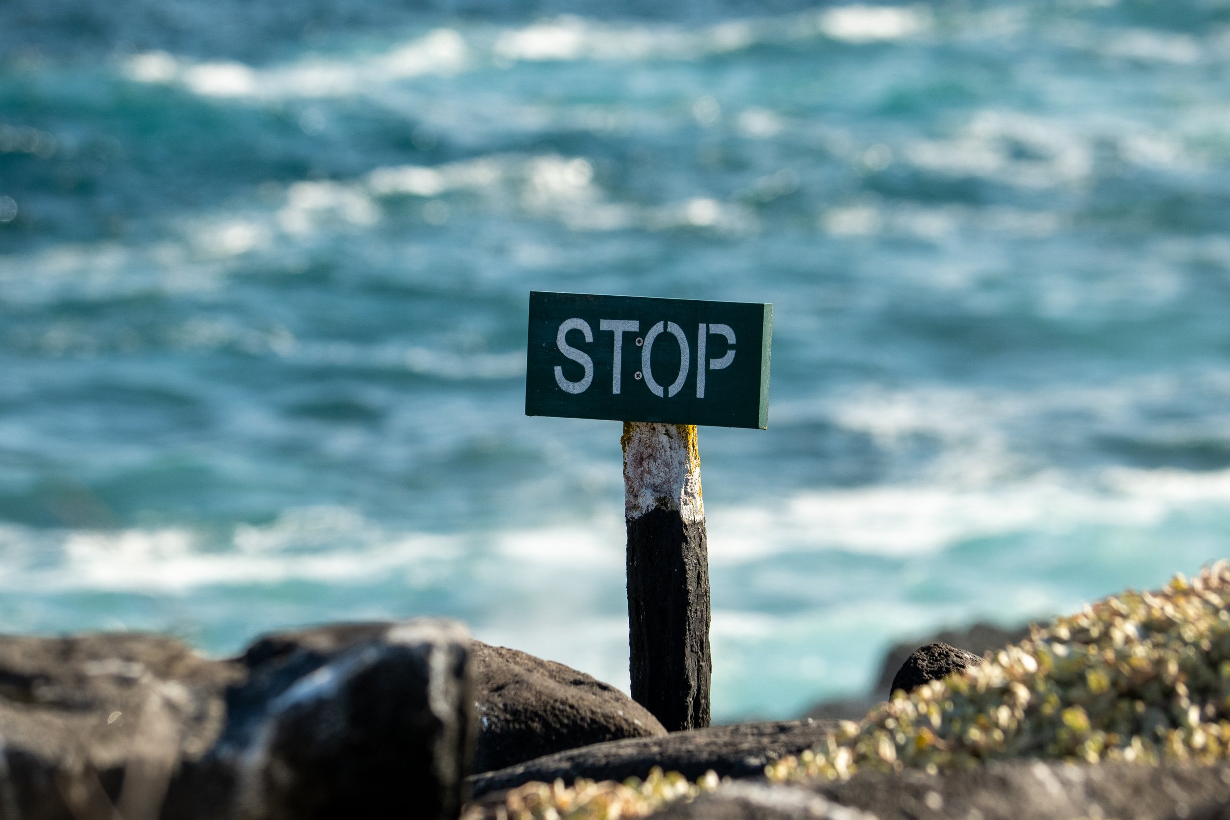 Galapagos_Espanola_Punta Suarez_Stop sign_ElyseeRobersonSchulz-2026.jpg
