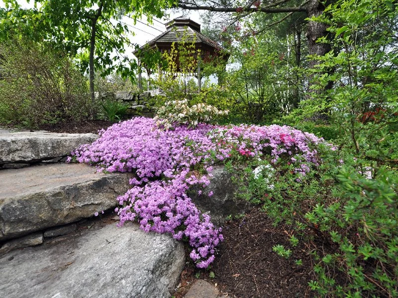 display-garden-3.jpg