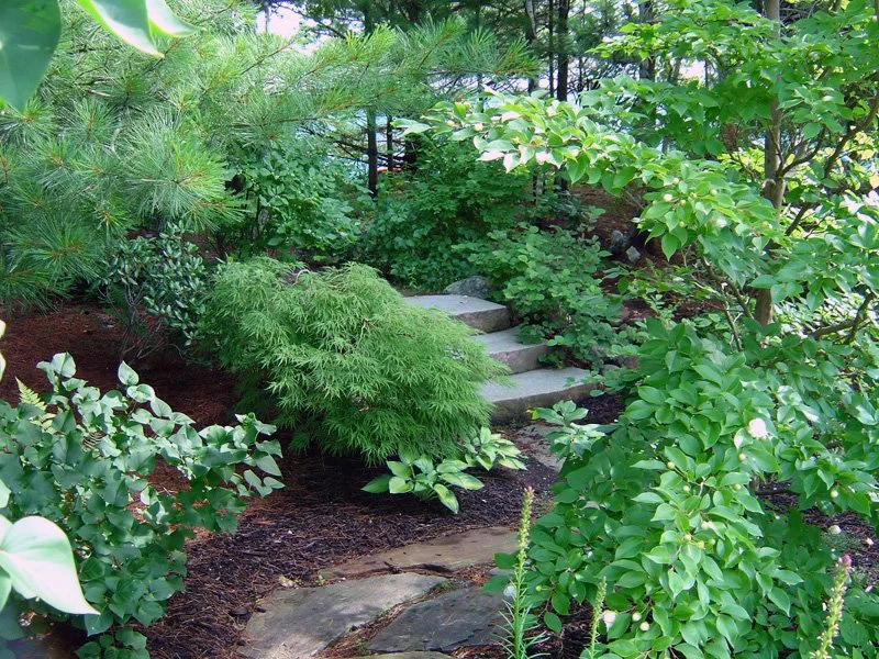 display-garden-4.jpg