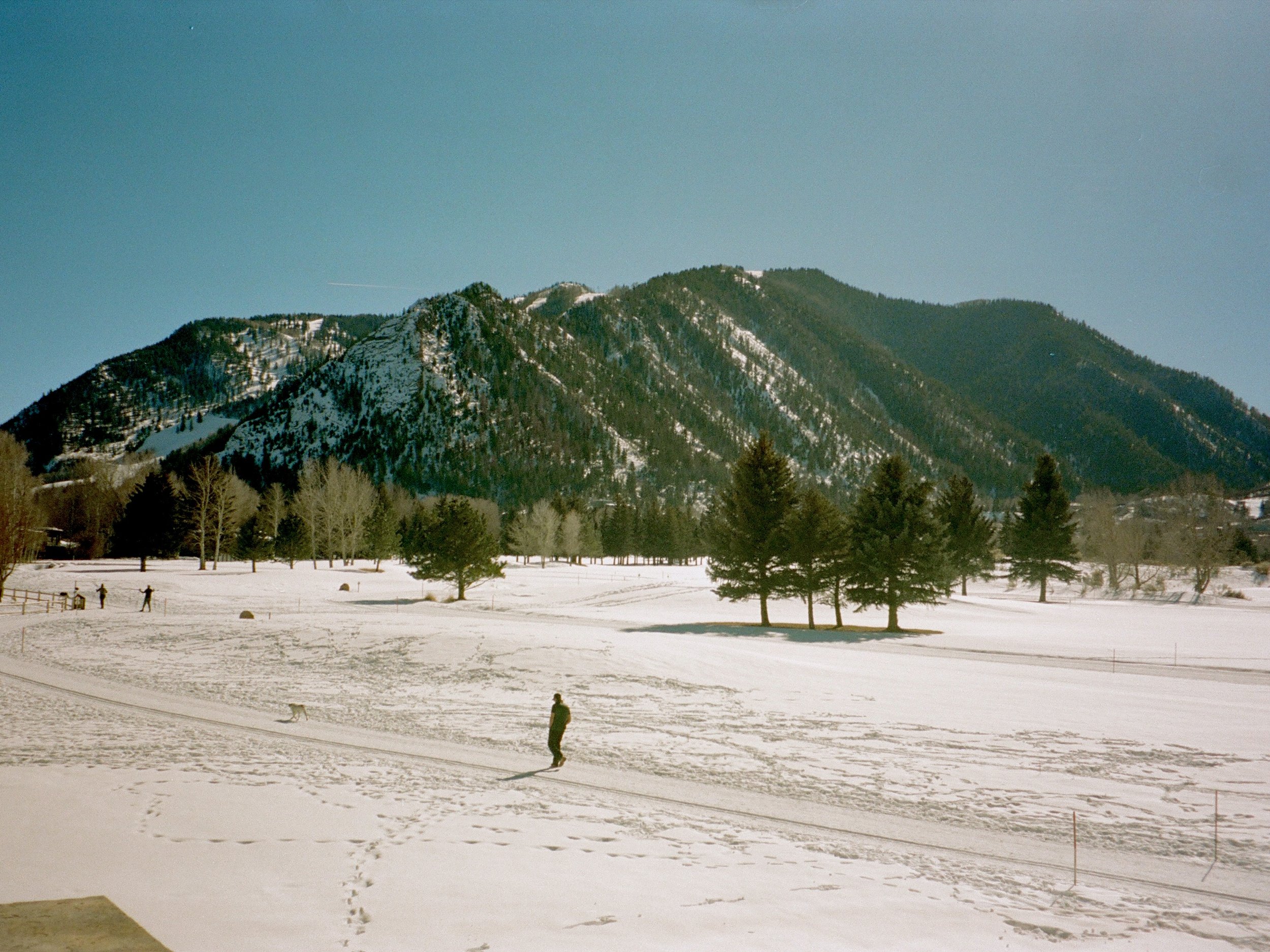 Aspen