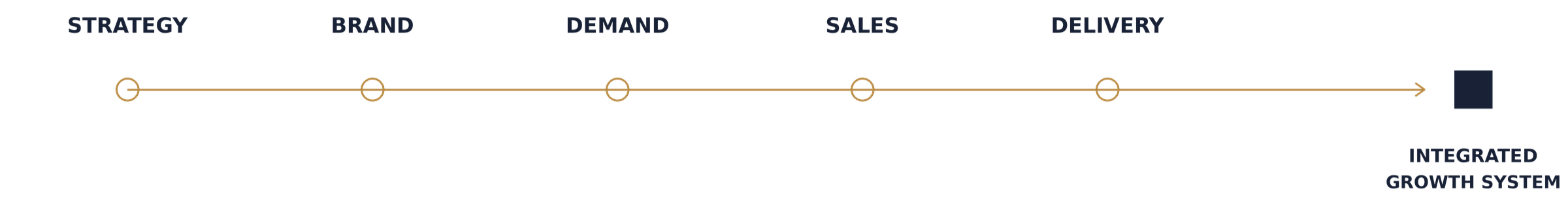 Strategy, brand, demand, sales, and delivery connect into an integrated growth system.