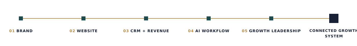 Brand, website, CRM and revenue, AI workflow, and growth leadership connect to form a connected growth system.