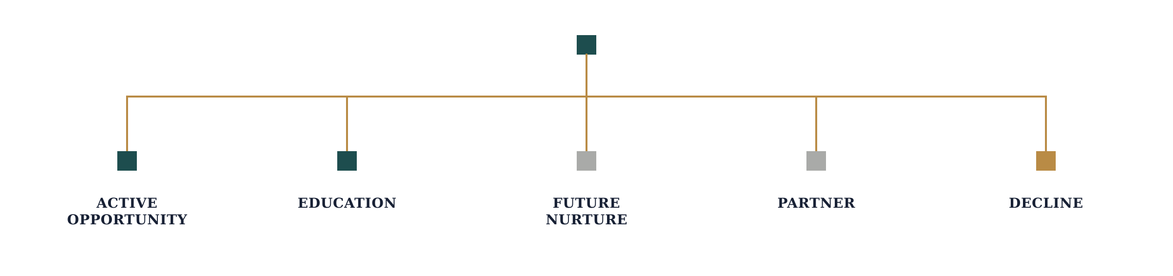 Lead qualification routing opportunities to active sales, education, future nurture, a partner, or decline.