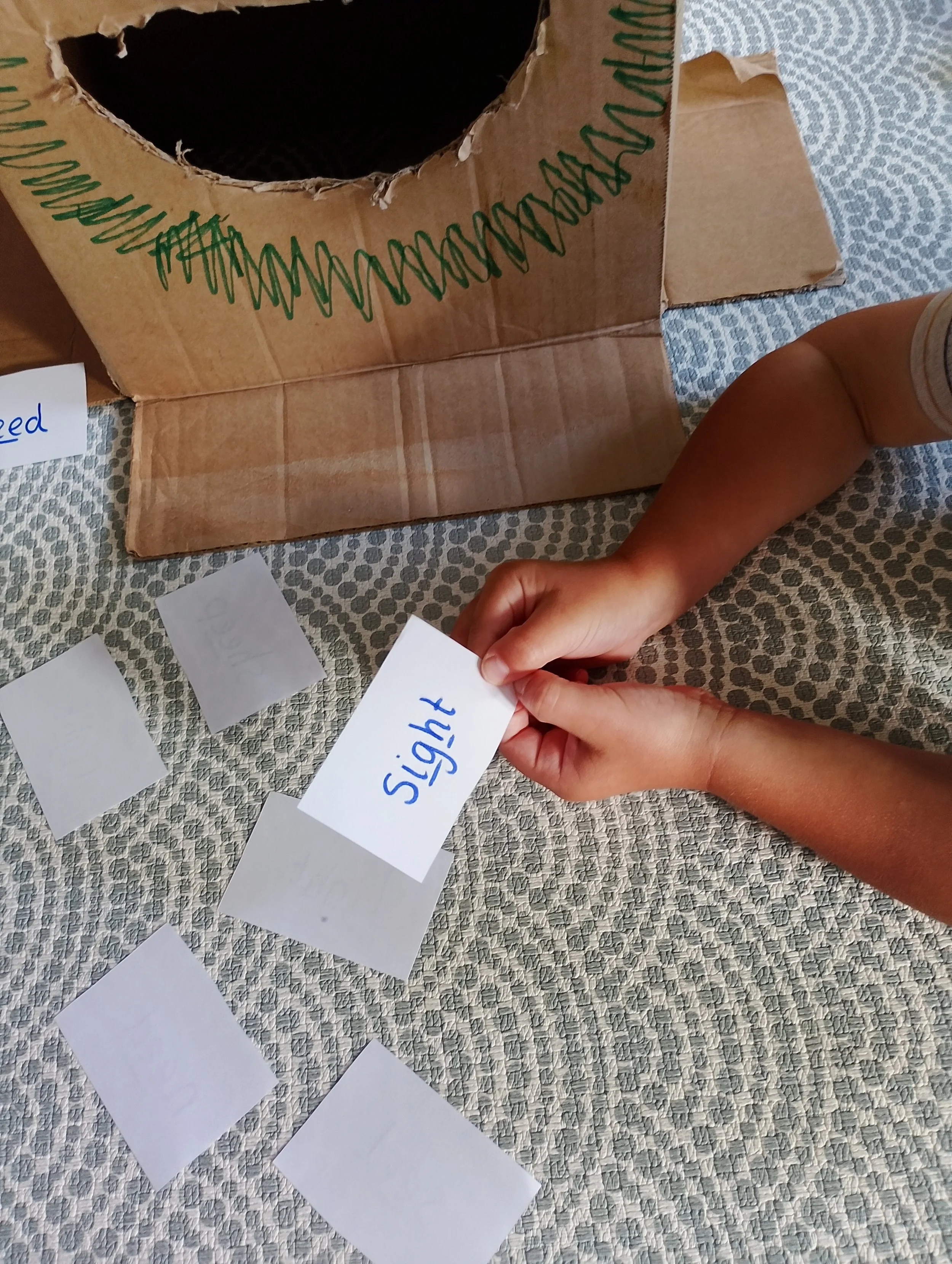 Your Child Knows Every Letter Sound But Can't Read Words