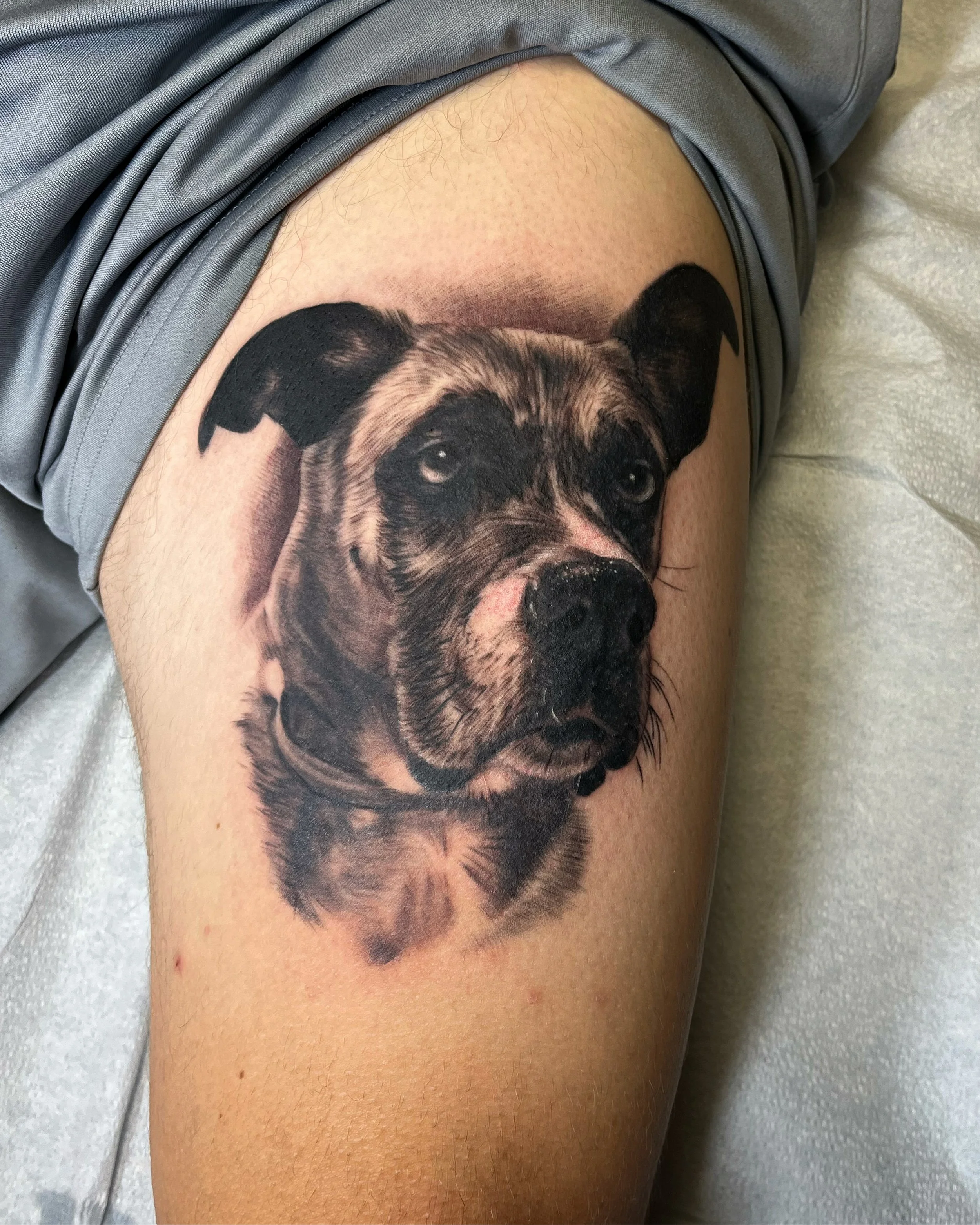 Custom tattoo of a dog's face on a person's upper arm by Jesse Smith at Human Production Gallery in Bethel Park, PA.