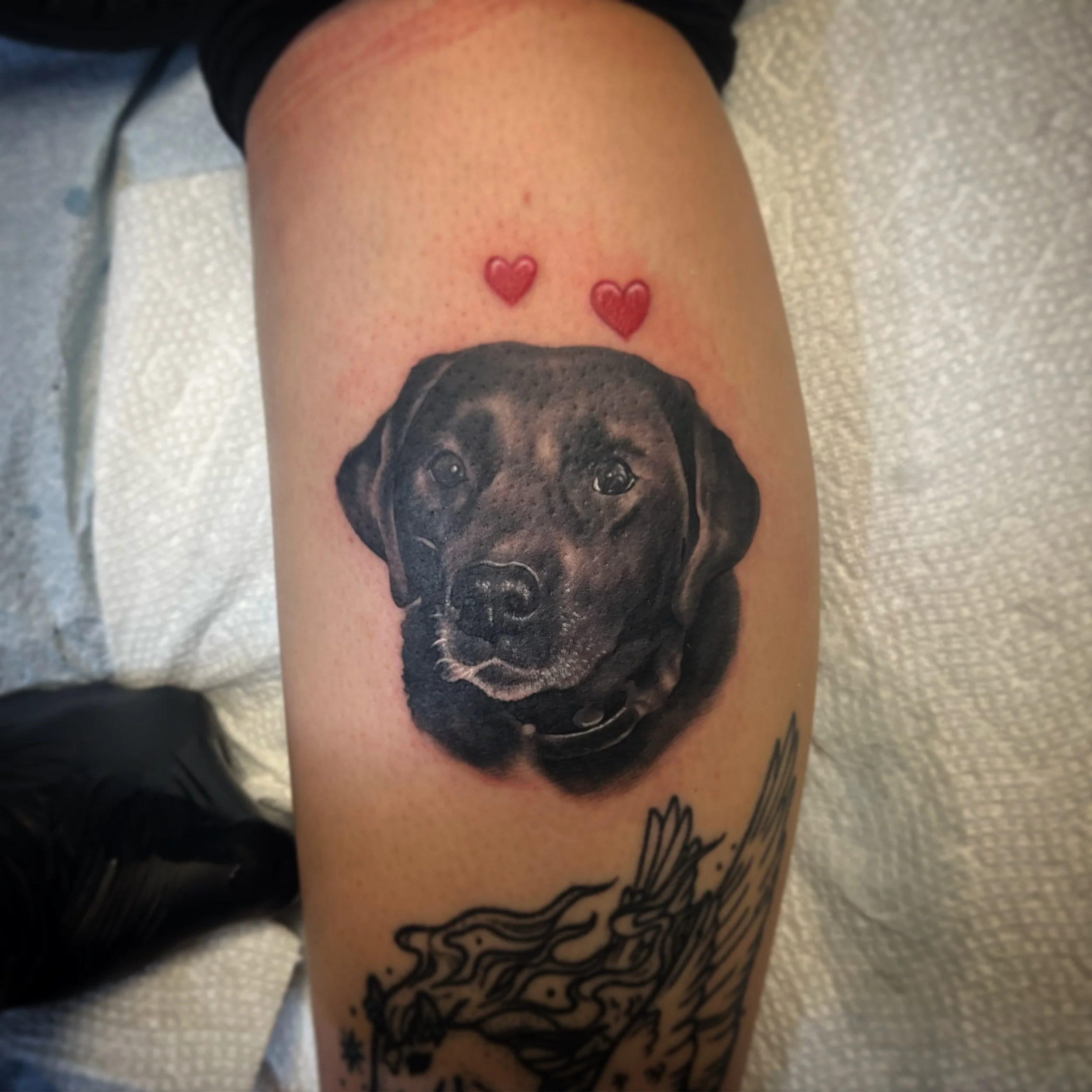 Close-up of a person's upper arm with tattoos, including a black and gray portrait of a dog. Two small red heart-shaped tattoos are visible above the portrait by Jesse Smith in Bethel Park, PA.